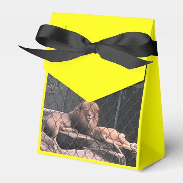 Caixinha De Lembrancinhas Zoo Love (Frente)