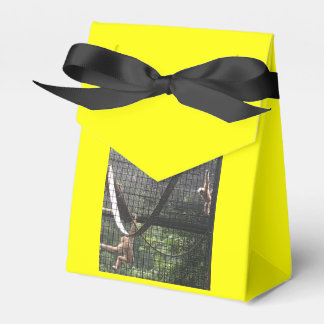 Caixinha De Lembrancinhas Zoo Love Favor Box