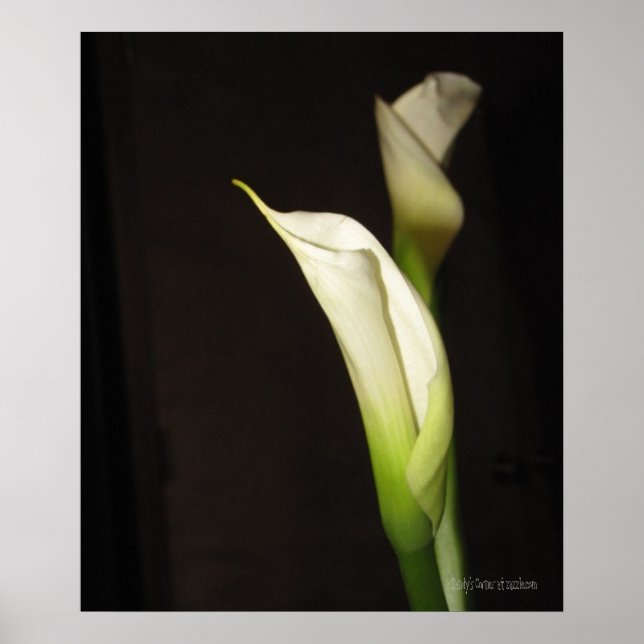 Cala Lily Duo Poster (Frente)