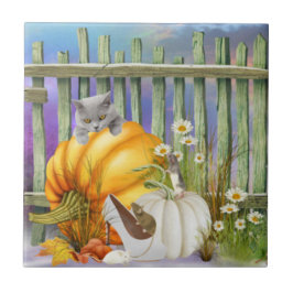 Calçado branco perdido na colagem do sistema de ab