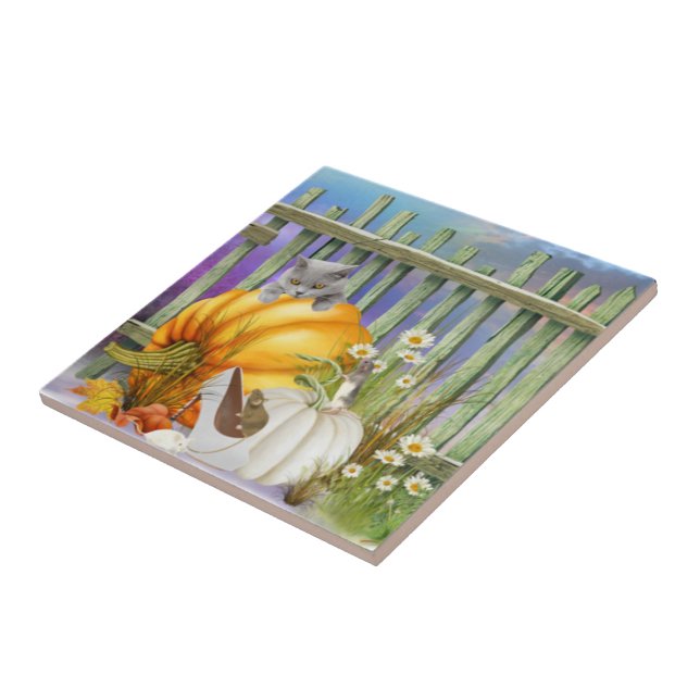 Calçado branco perdido na colagem do sistema de ab (Lateral)