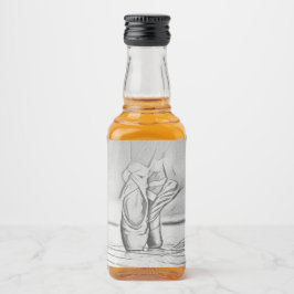 Calçados Balés monocromáticos Ballerina