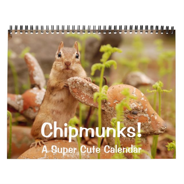 Calças! Um Calendário de Parede Super Bonito (Capa)