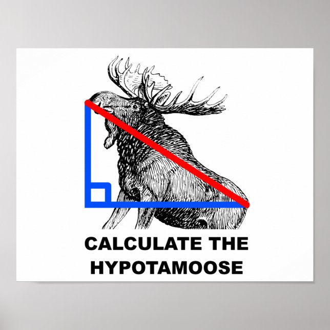 Calcule a Poster da Hypotamoose Engraçada (Frente)