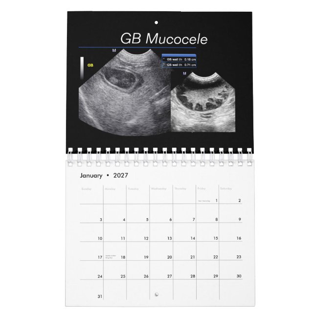 Calendário (Jan 2027)