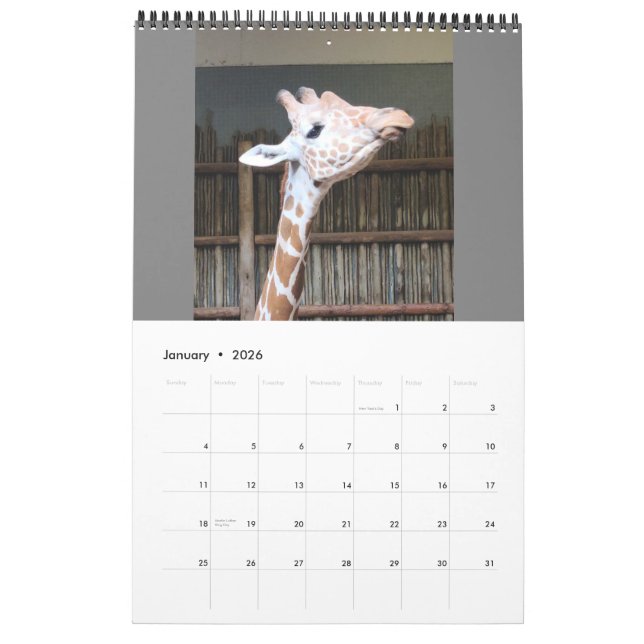 Calendário (Jan 2026)