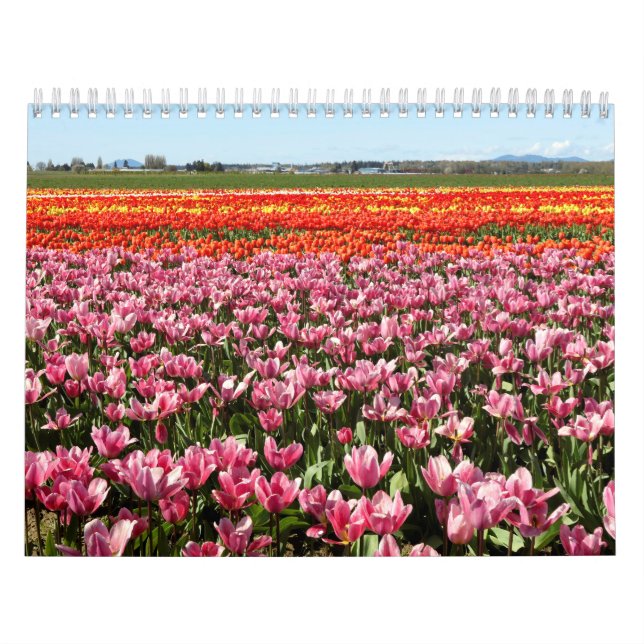 Calendário (Capa)