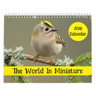 Calendário