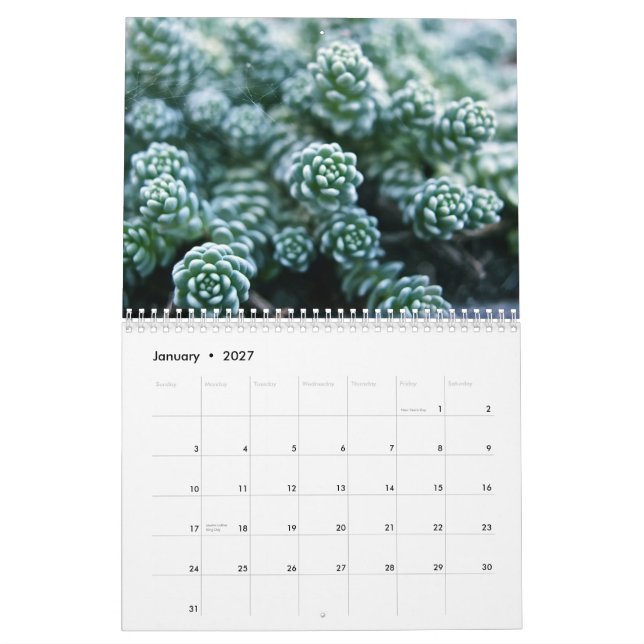 Calendário (Jan 2027)