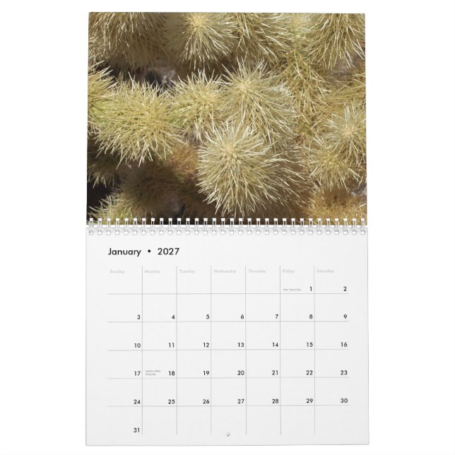 Calendário (Jan 2027)