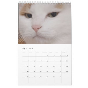 Calendário