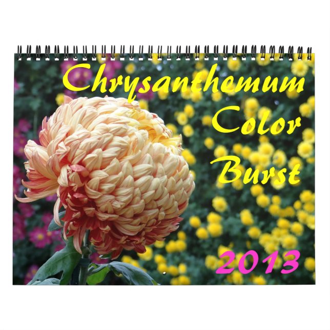 Calendário 0 2013 Burst de Cor do Chrysanthemum (Capa)