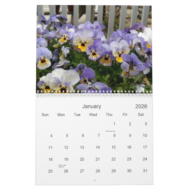 Calendário 0 Pansies, Pansies bonito (Jan 2026)