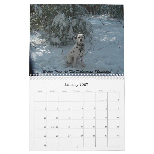 Calendário 11-2008_02, Dalmatian dobro de D… - Personalizado (Jan 2027)