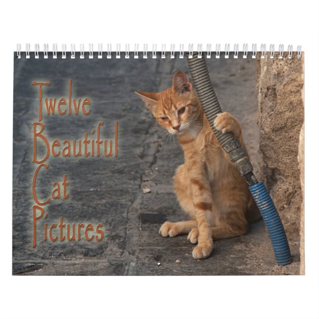Calendário 12 imagens bonitas de gatos (Capa)