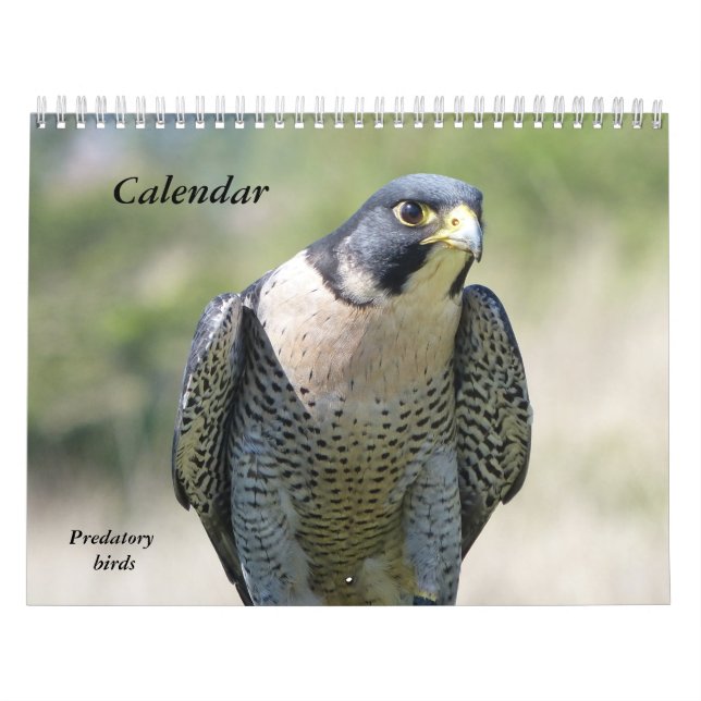 Calendário 12 meses, Aves Predatórias (Capa)