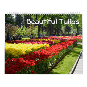 Calendário 12 meses Belas Tulipas