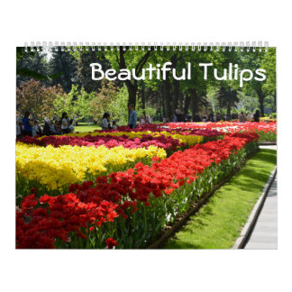 Calendário 12 meses Belas Tulipas