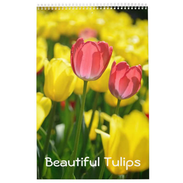 Calendário 12 meses Belas Tulipas (#2) (Capa)
