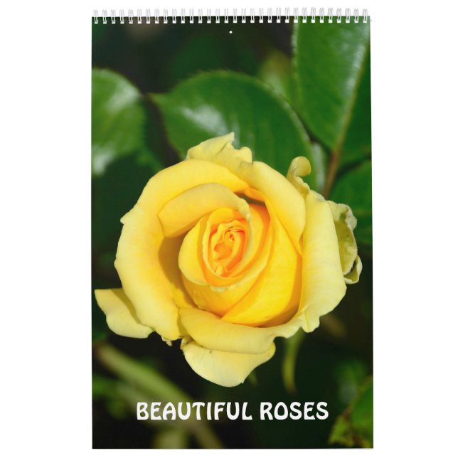 Calendário 12 meses Belos Rosas (Capa)