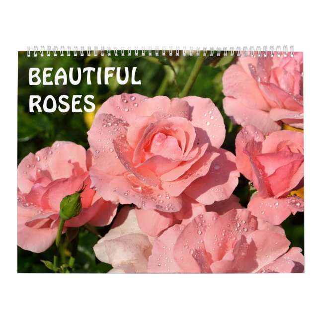 Calendário 12 meses Belos Rosas (Capa)