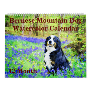 Calendário 12 Meses Cães de Montanha Regal Bernese Watercolor
