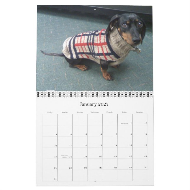 Calendário 12 meses com o cão do tootise (Jan 2027)