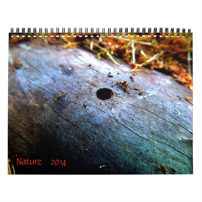 Calendário 12 meses da natureza (Capa)
