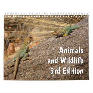 Calendário 12 Meses de Animais e Vida Selvagem, 3ª Edição
