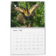 Calendário 12 meses de belas borboletas fotografia (Out 2025)
