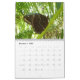 Calendário 12 meses de belas borboletas fotografia (Dez 2025)