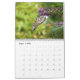 Calendário 12 meses de belas borboletas fotografia (Ago 2025)