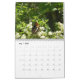 Calendário 12 meses de belas borboletas fotografia (Maio 2025)