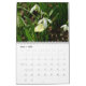 Calendário 12 meses de belas borboletas fotografia (Mar 2025)