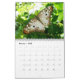 Calendário 12 meses de belas borboletas fotografia (Fev 2025)