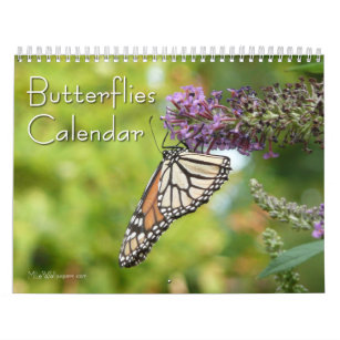 Calendário 12 meses de belas borboletas fotografia
