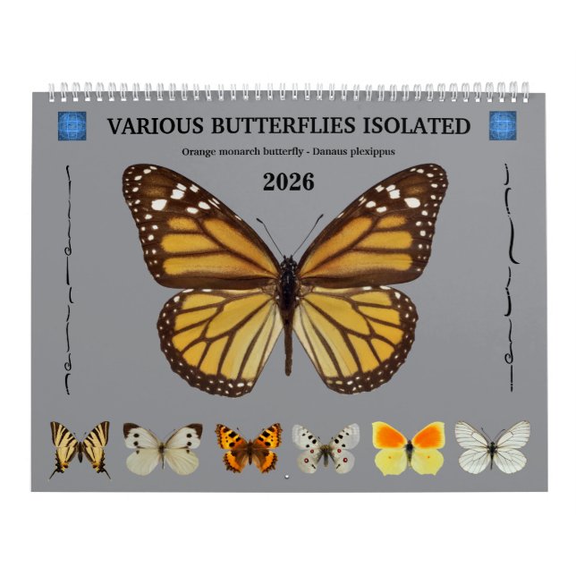Calendário 12 meses de calendário, várias borboletas (Capa)