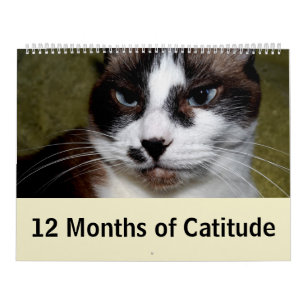 Calendário 12 meses de Catitude