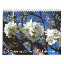 12 meses de fotos das estações, 10ª edição