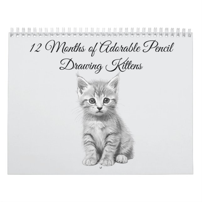 Calendário 12 Meses de Gatinhos Adoráveis Desenhados à Lápis (Capa)
