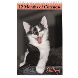 Calendário 12 Meses de Gatinhos Cuteness Irmãos