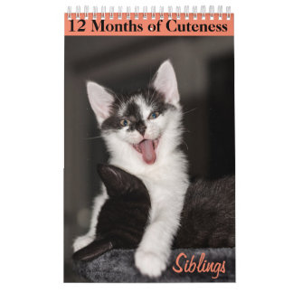 Calendário 12 Meses de Gatinhos Cuteness Irmãos