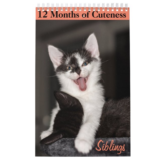 Calendário 12 Meses de Gatinhos Cuteness Irmãos (Capa)
