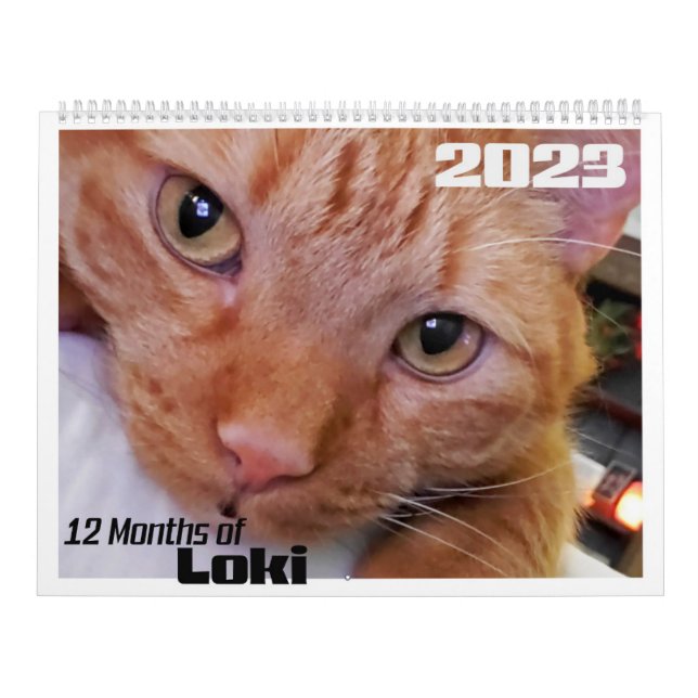 Calendário 12 meses de Loki e Gato de Tabby Laranja (Capa)