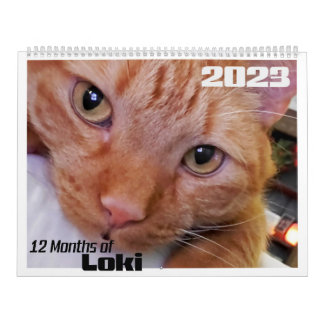Calendário 12 meses de Loki e Gato de Tabby Laranja