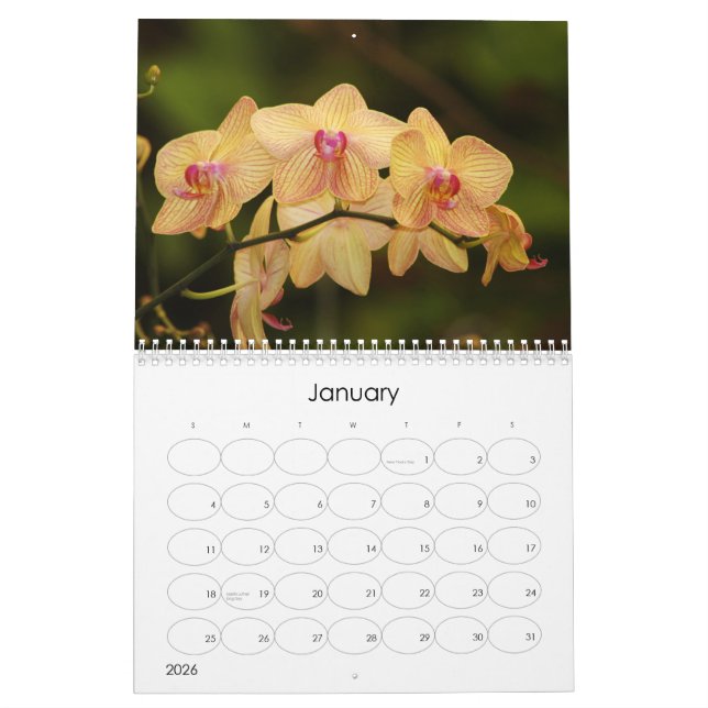 Calendário 12 meses de orquídeas bonitas (Jan 2026)