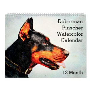 Calendário 12 Meses Pintura por Aquarela Doberman Pinscher