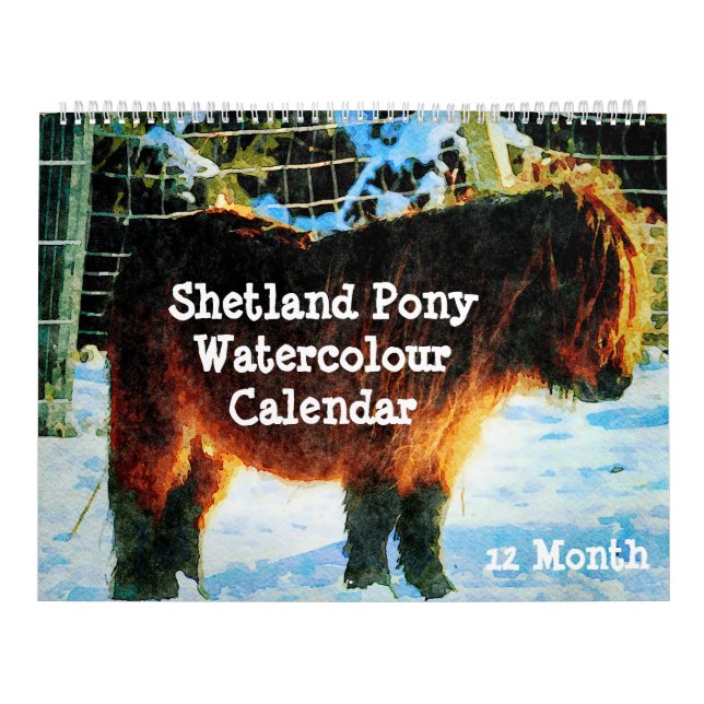 Calendário 12 Meses Shetland Ponies Watercolor Pintura (Capa)