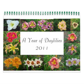 Calendário 14720033, Lumberton Daylily 048, Lumberton da...