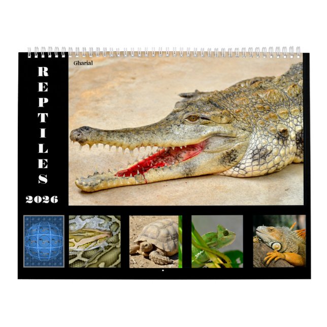 Calendário 14 Photos of Reptiles Calendar (Capa)